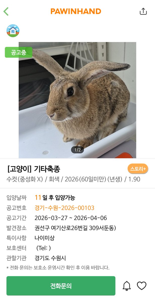 니힐🩷🩵 tweet media