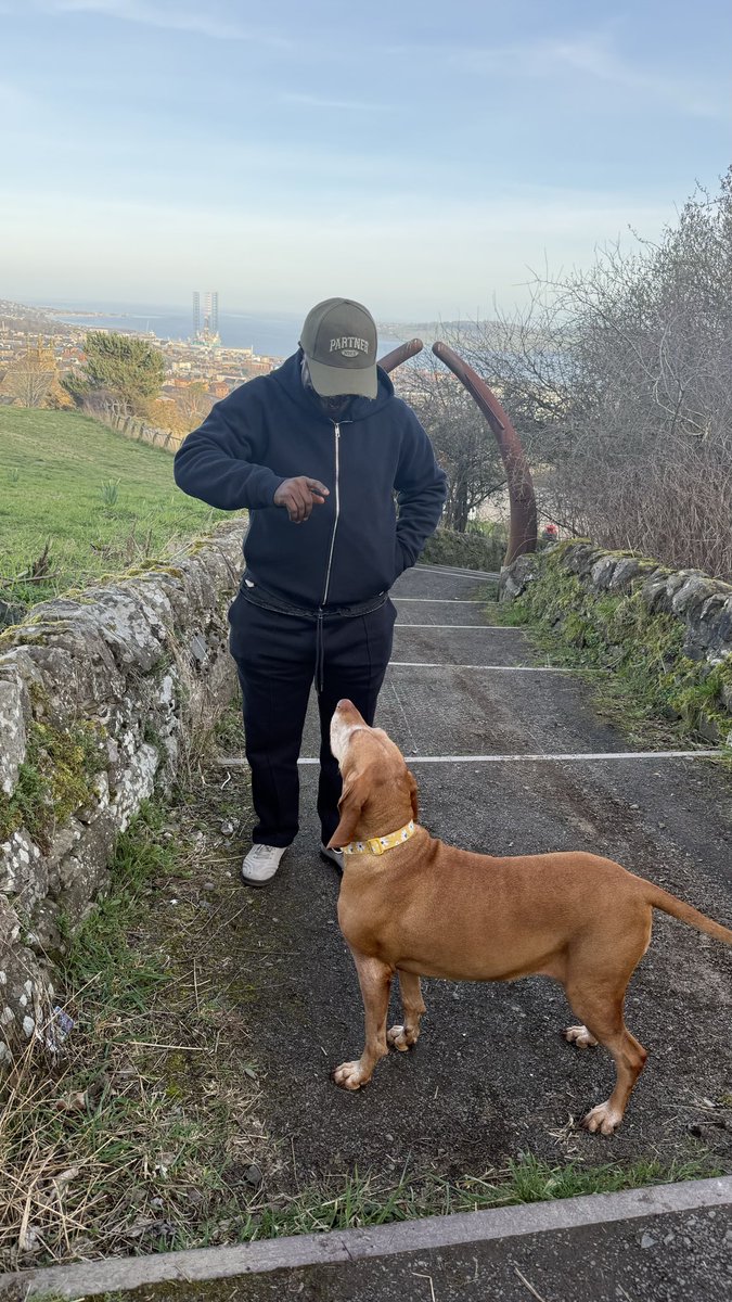 Sir Joe Edet Ph.d, KSS, FICMC, FICAN, FHNR. tweet media