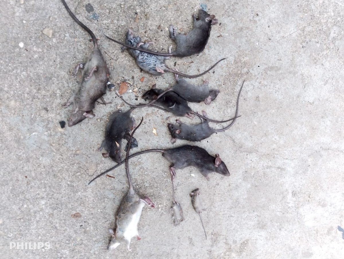 Touchnot tweet media