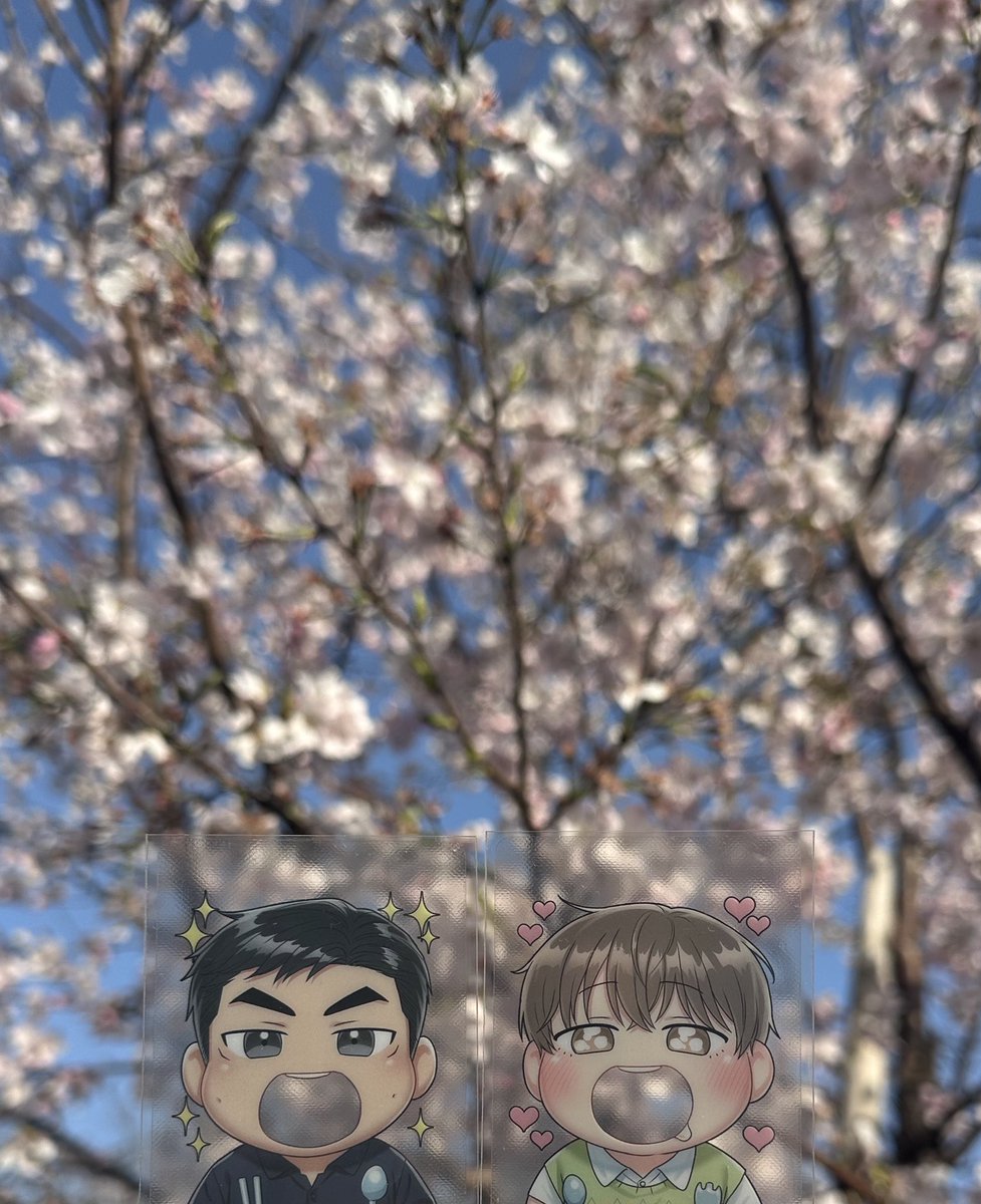 애쉬 🐾 tweet media