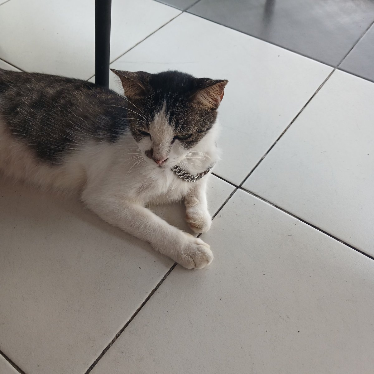 マルーンR tweet media