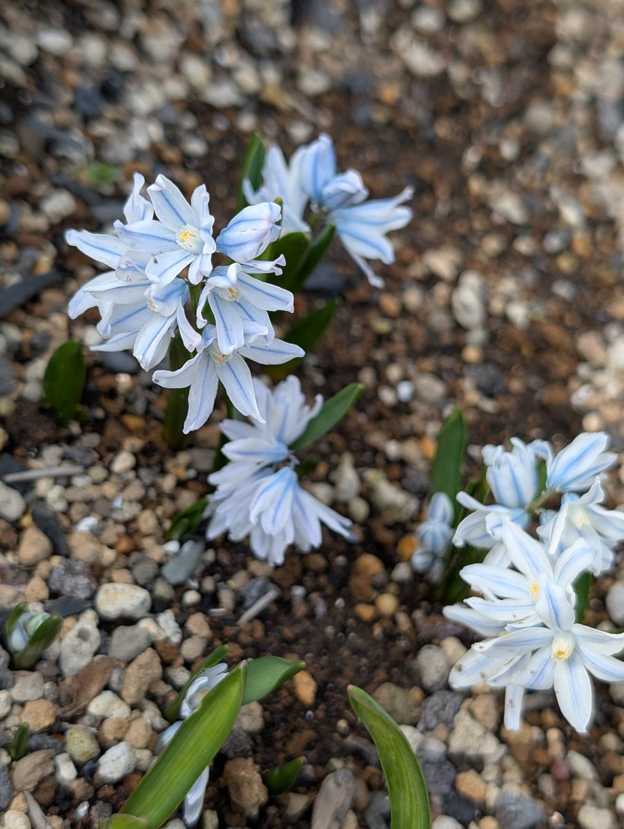 happa🌱 tweet media