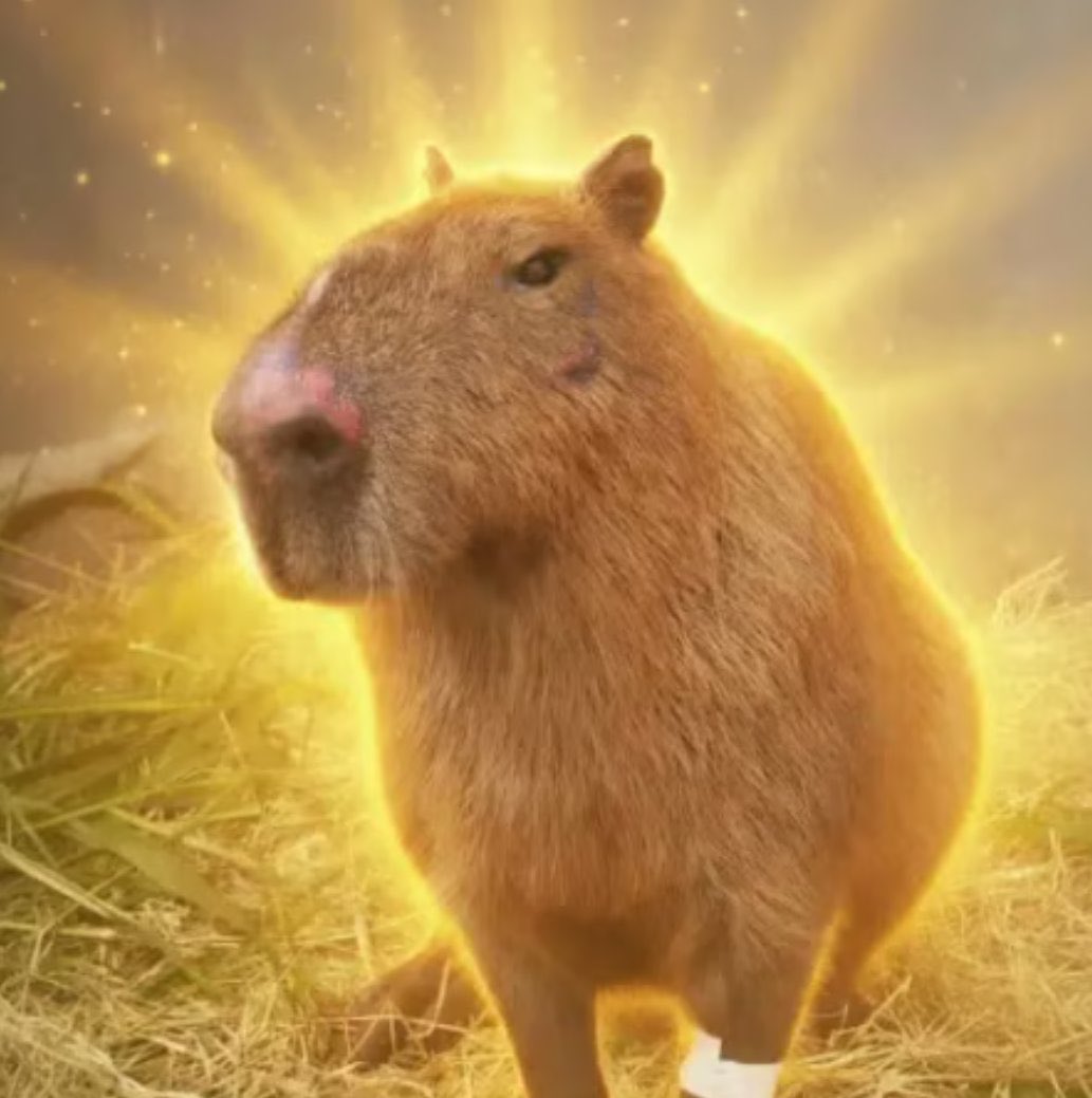 Ninja 🪖 tweet media