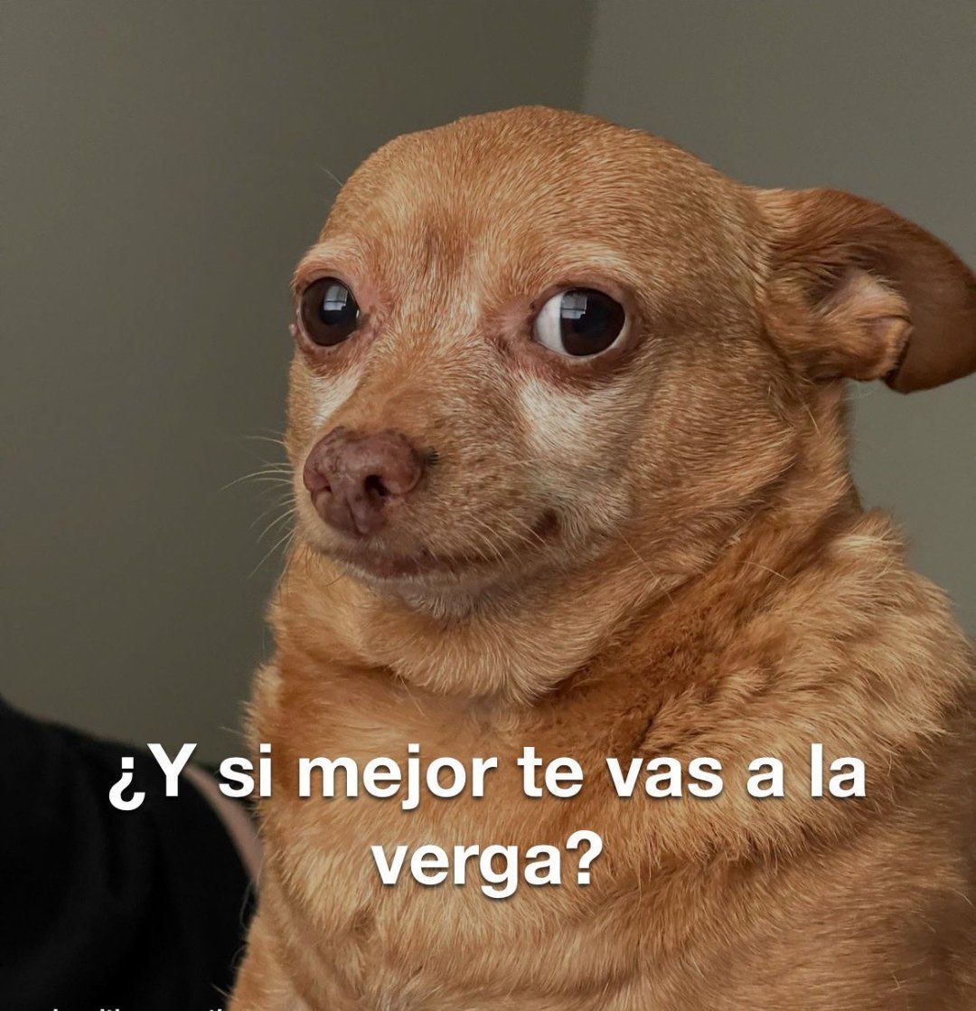 𝓜𝓲𝓬𝓱𝓪𝓮𝓵 𝓢𝓬𝓪𝓻𝓷 tweet media