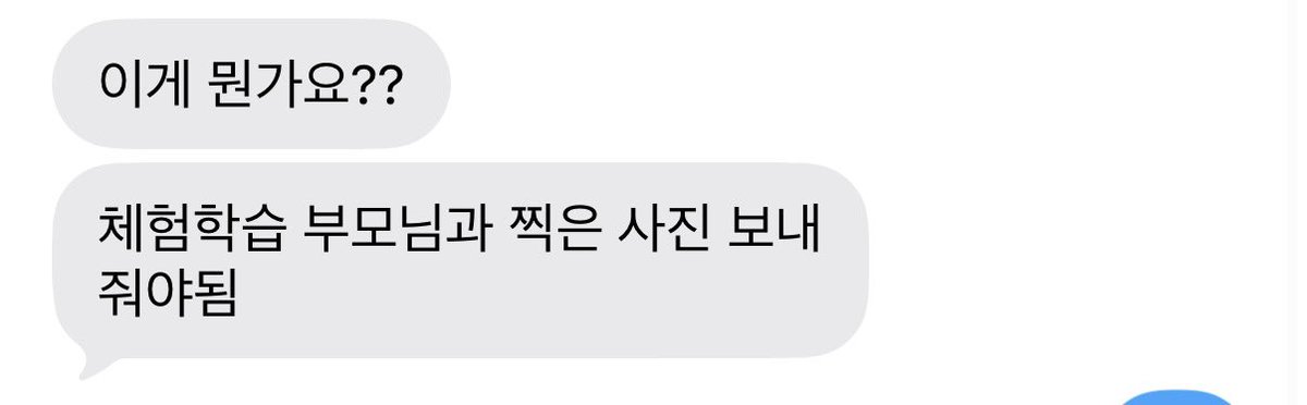 고양이 tweet media