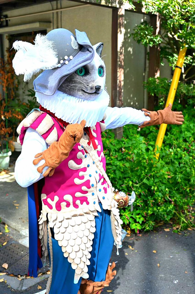 Arthur_of_cat's tweet photo. ねこさんぽin三茶de大道芸2026🤹
みんなとハイタッチ(｀・ω・)人(・ω・´)
お子ちゃんはぎゅーも大歓迎だよー✋📸😸➰✨
因みにぎゅーはお子ちゃん限定ね!✨

📸：@aveadie

#三茶de大道芸
#ねこさんぽ
#ロービング
#ウォーキング https://t.co/KCyWPBnc1x