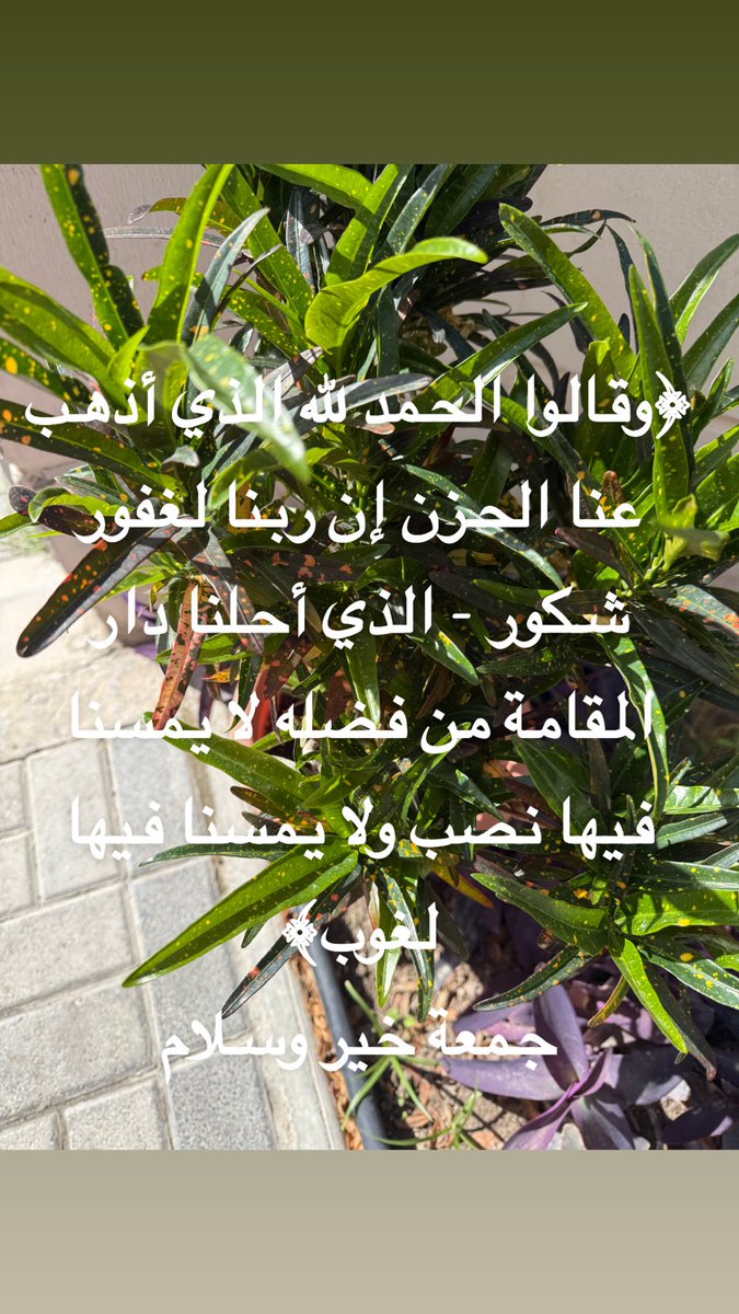 جمعة مباركة للجميع