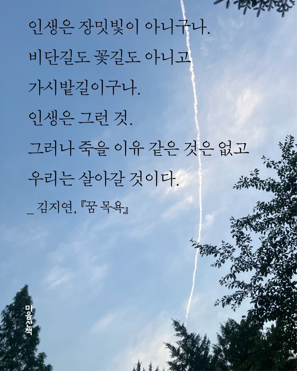 마음산책 tweet media