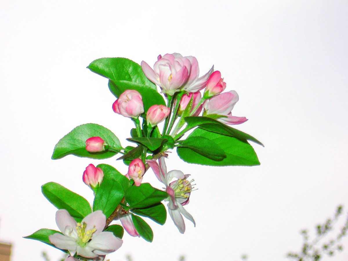 💦爆 漿 魷 魚🐙 tweet media