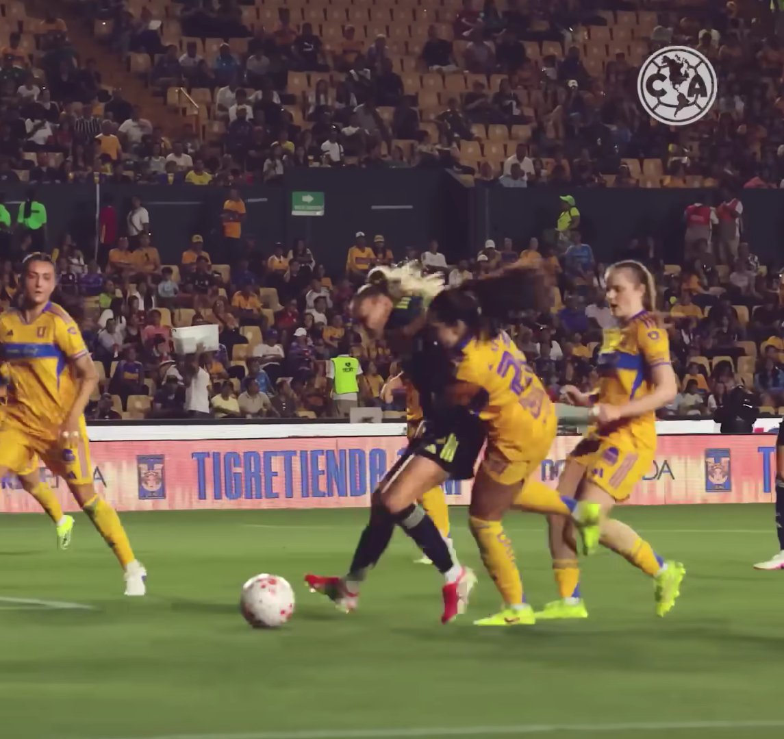 ElTecuidas tweet media