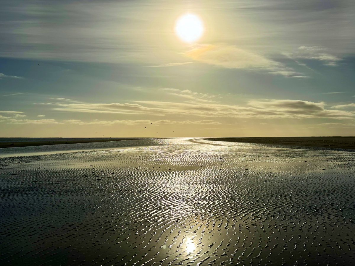 richardtkiewiet tweet media