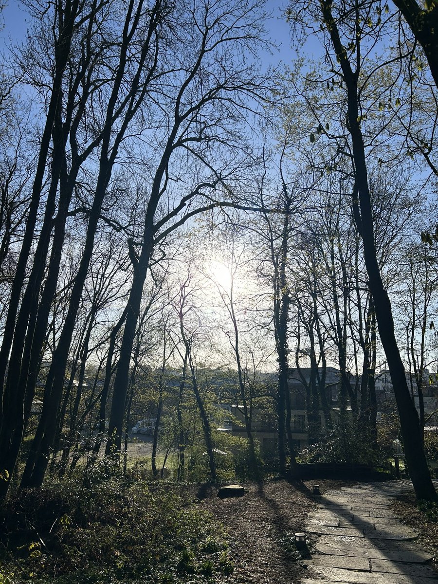 Chris_Brussels's tweet photo. Une très belle journée ensoleillée à toutes et à tous. ☀️🙋♂️
#promenadeverte #tgif https://t.co/bCNchh7rvh