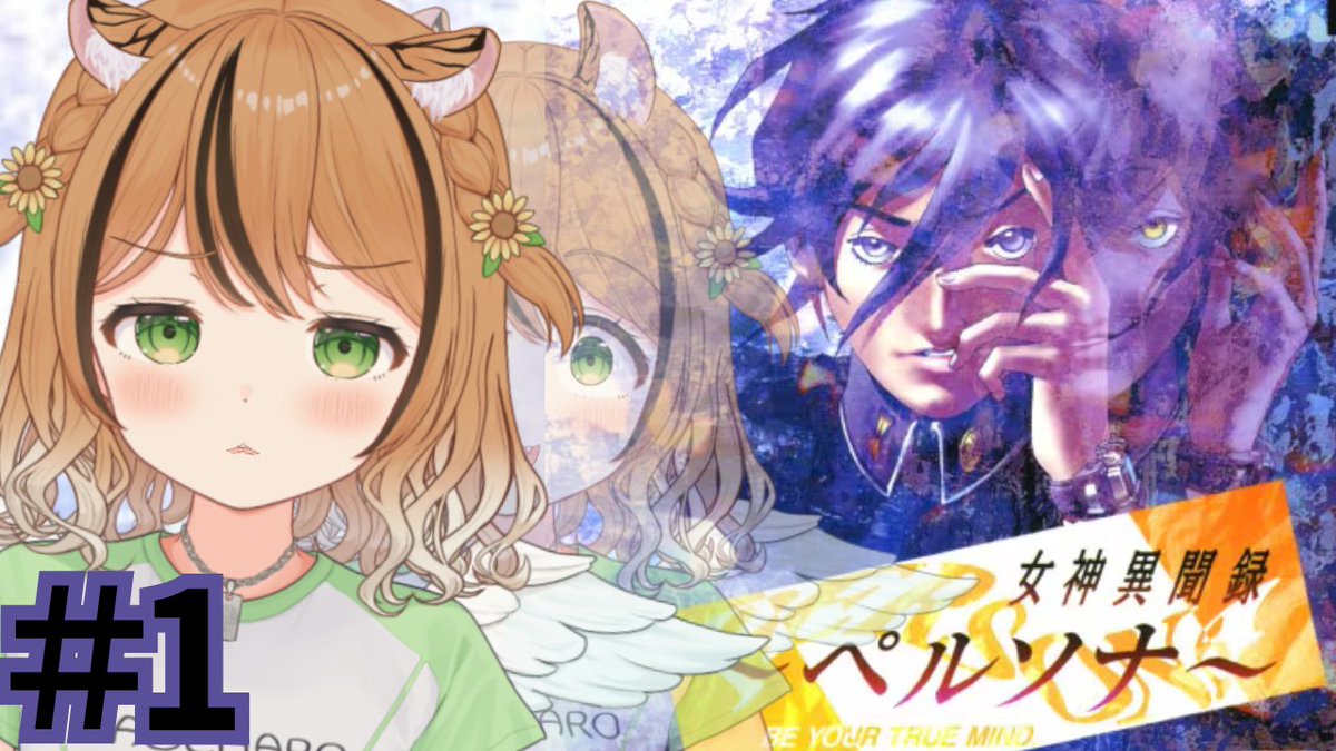 琥珀ひなた🐯🌻 tweet media