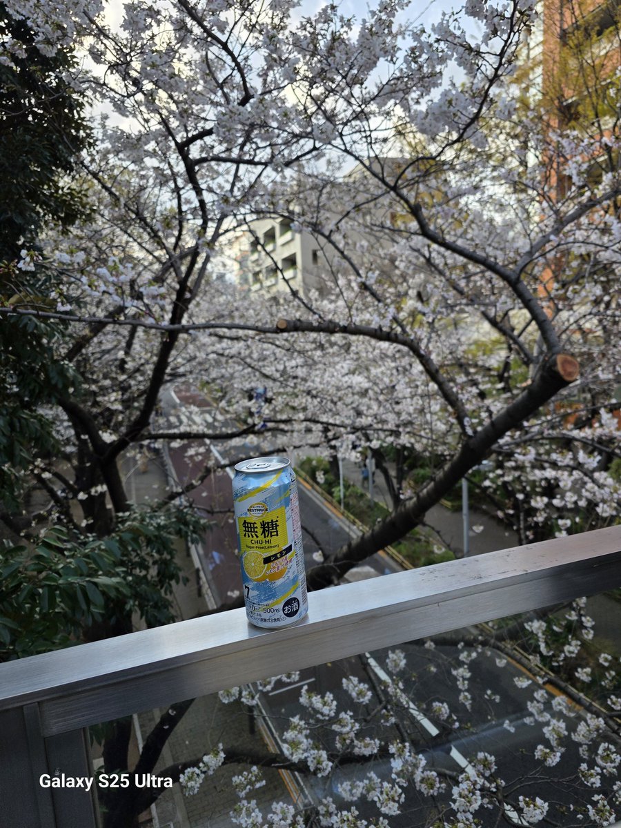 稲村伸一 tweet media