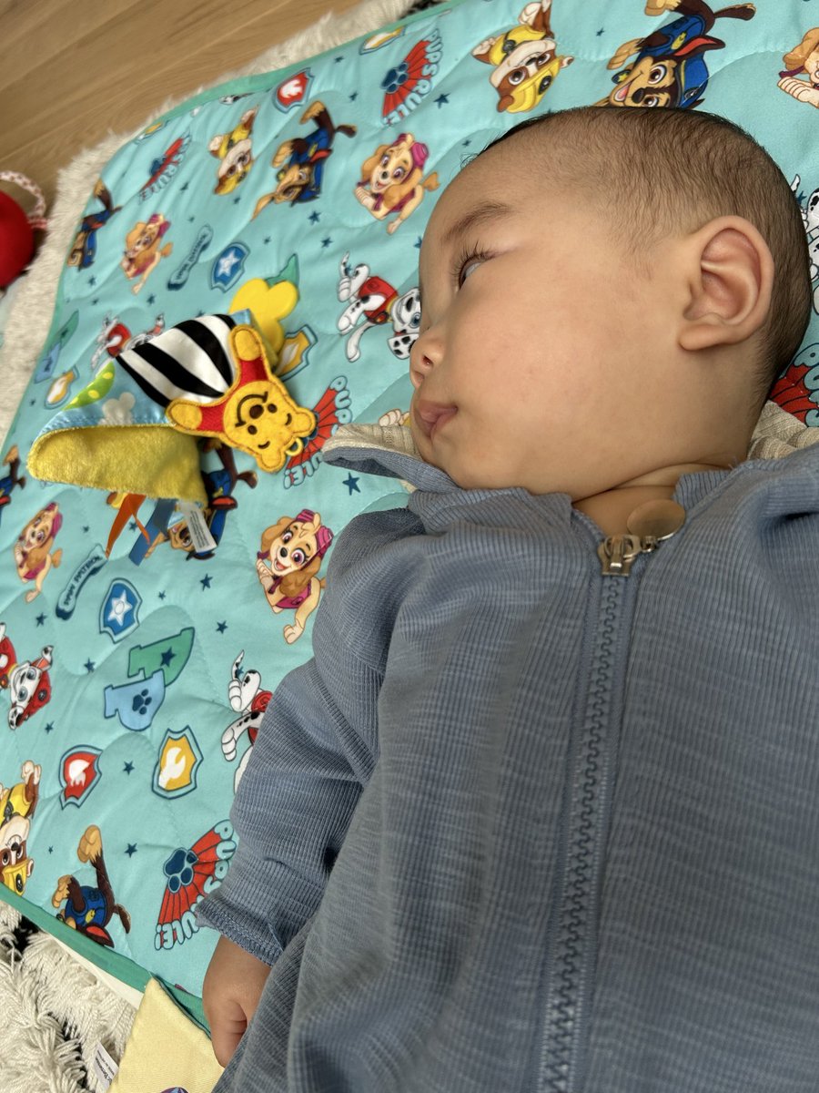 福ちゃん@2026社労士受験&娘小学校受験 tweet media