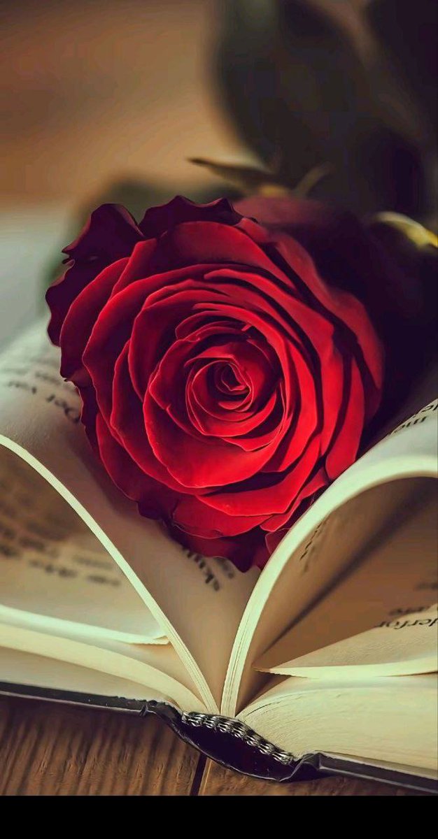 وحيد أبو ياسر tweet media