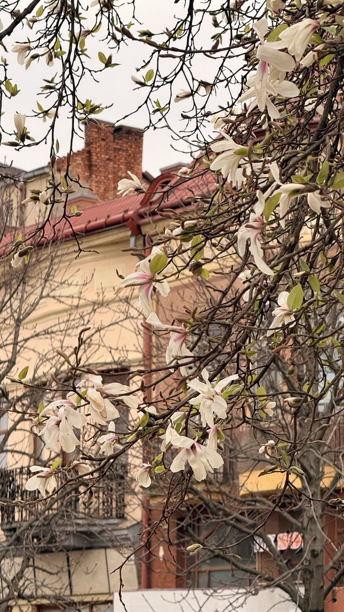 джерела пружно б'ють 🇺🇦 tweet media