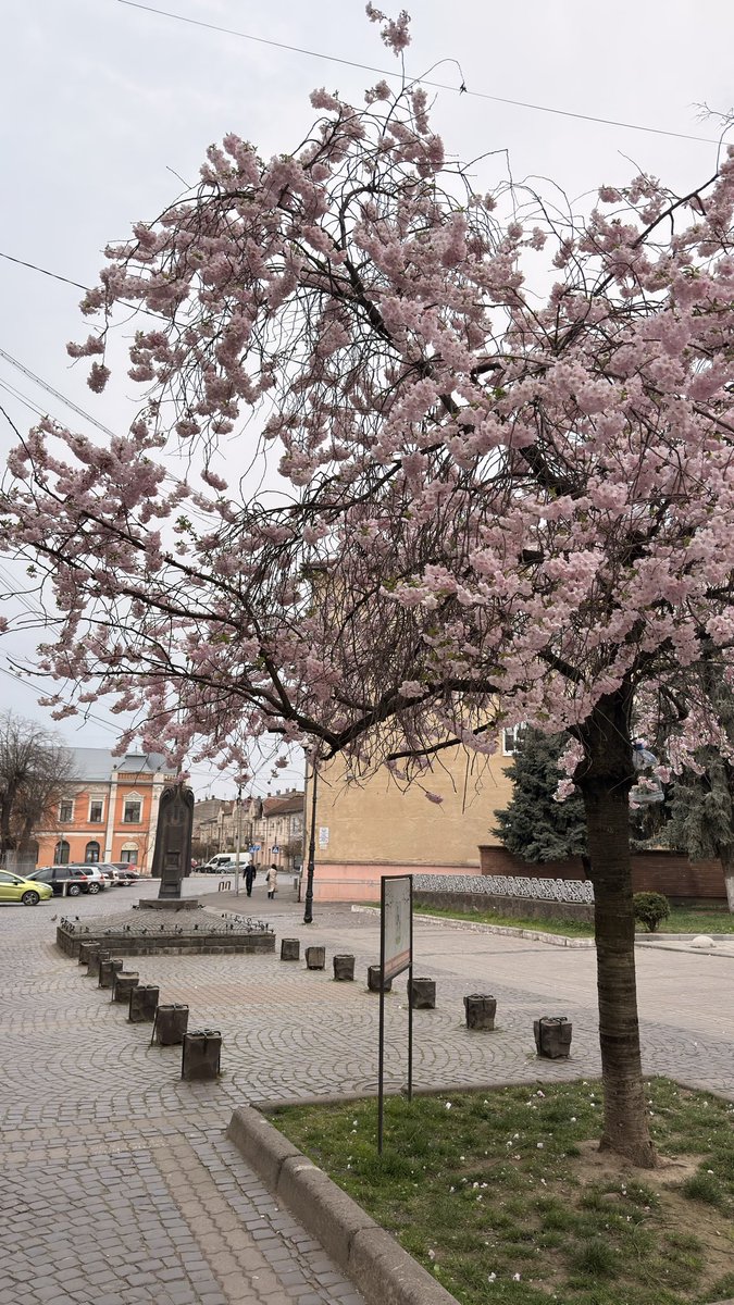 джерела пружно б'ють 🇺🇦 tweet media