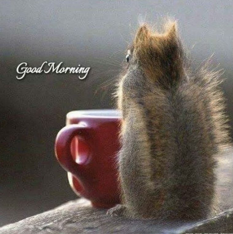 𝕯𝖊𝖗𝖎𝖓 tweet media