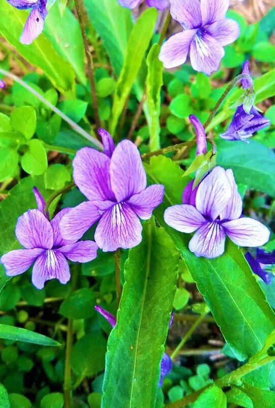 김희숙 tweet media