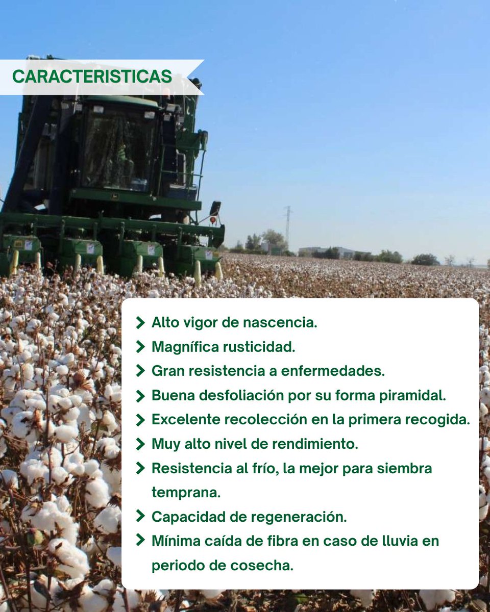 Guadalsem tweet media