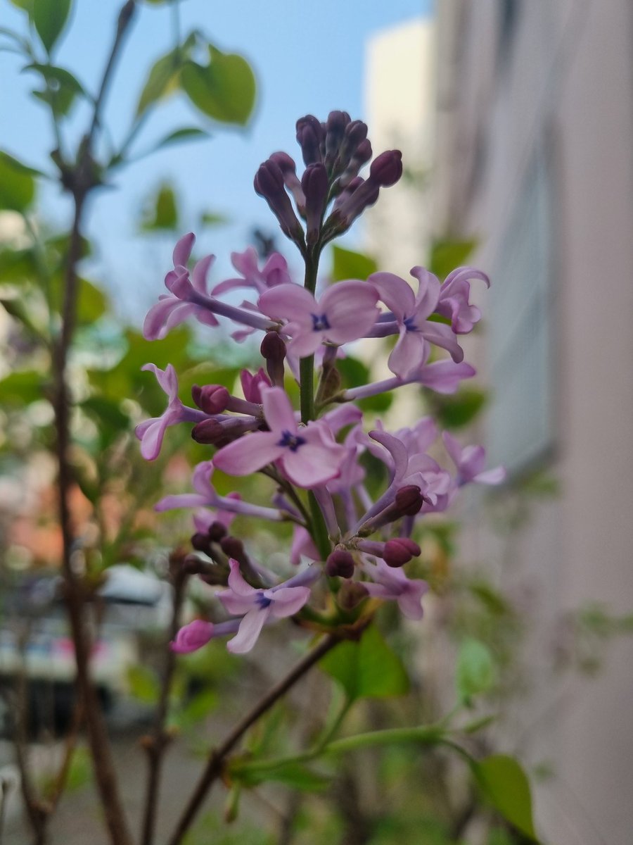 핑크토끼 tweet media