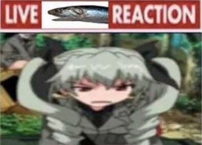 TemporaryPanza tweet media