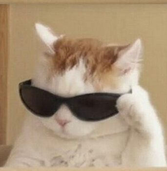 VTuber2D Lab tweet media