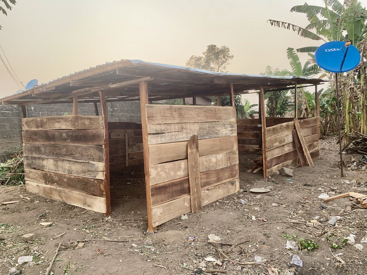 OfficialShugaba's tweet photo. Doing all I can because I don’t want to sell my body
And na me get all the money it’s my hard earned money as in na me run am! No be my babe money.
And am so proud of me 🥰🥰🥰
#provadolíder #GranHermanoGeneraciónDorada #bondibeach #DEBAT #nigerialeak #davido #Supremo https://t.co/9fnqn12CQc