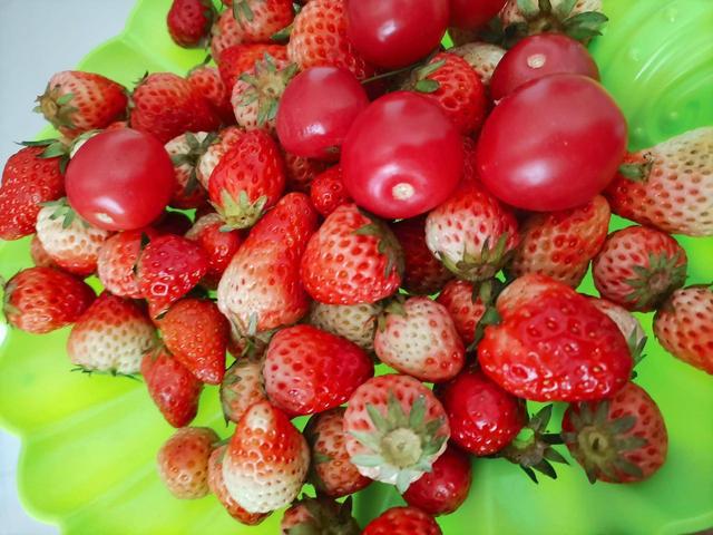 charléne castang tweet media