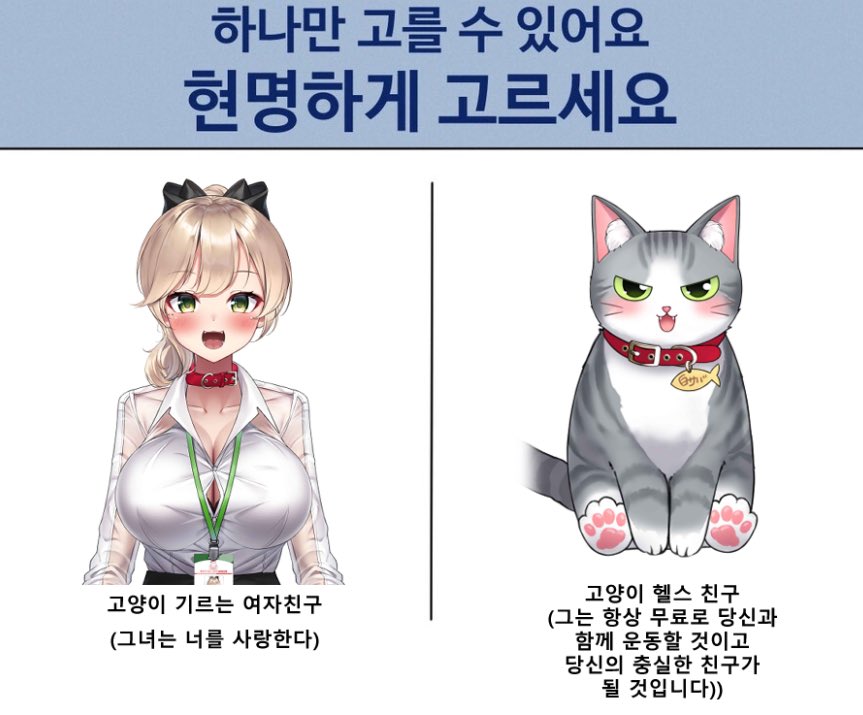 시로사바🐱💦 tweet media