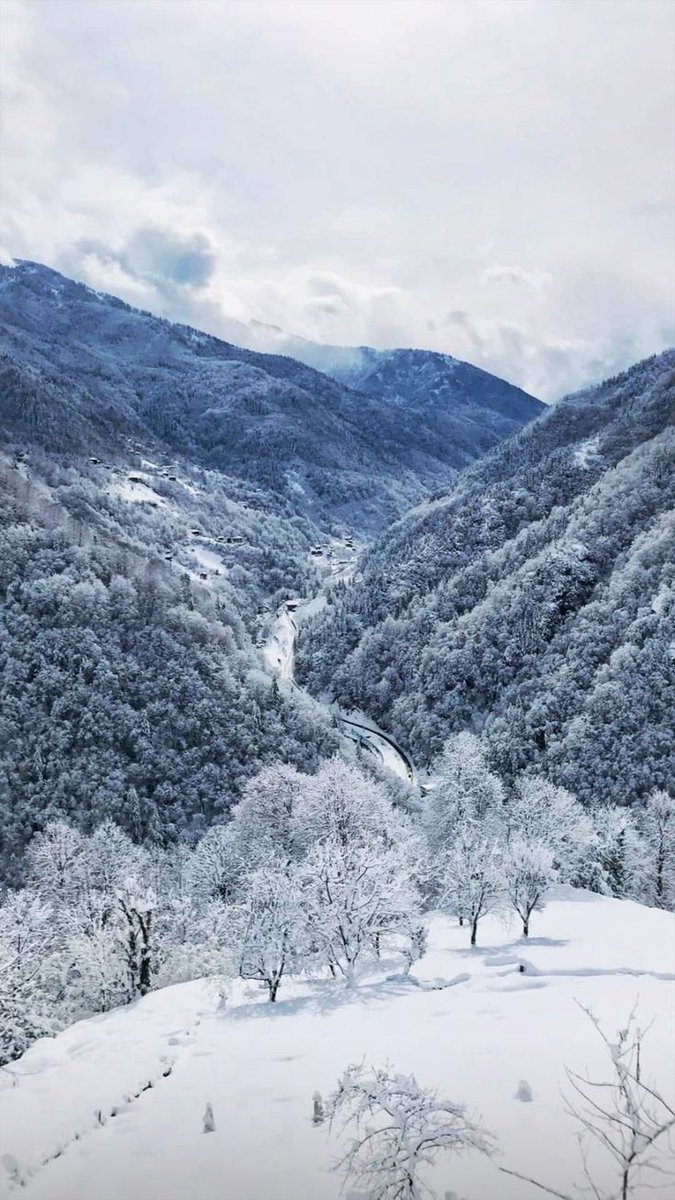 ⚜PARTAGAS⚜🥃🎶🥂💨 tweet media