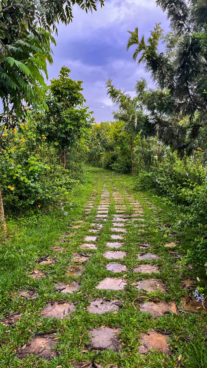 الباشمُصَمِّم tweet media