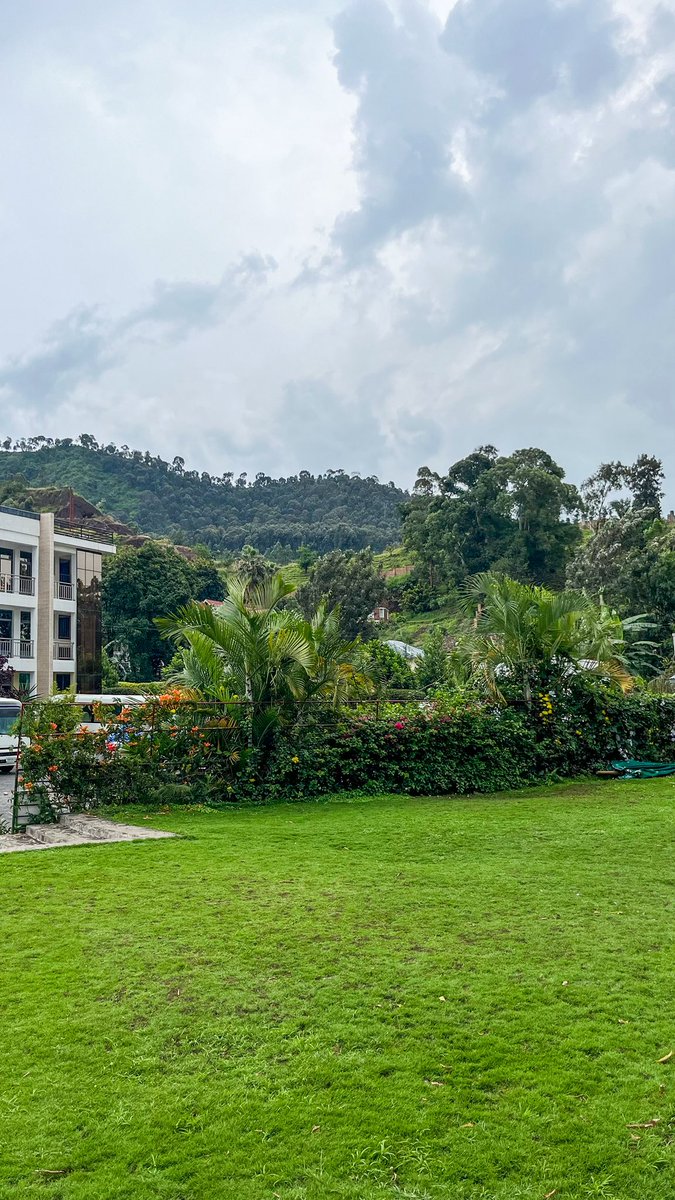 الباشمُصَمِّم tweet media