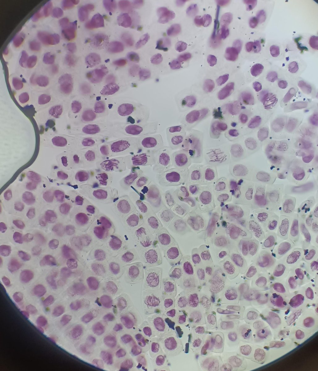 Montse Duro tweet media