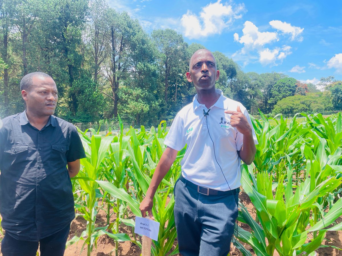 Rwanda Biotech Capacity Building tweet media