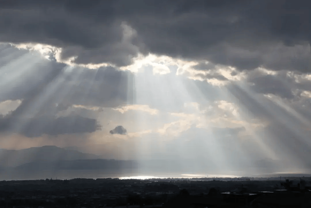 W.Chytroś tweet media