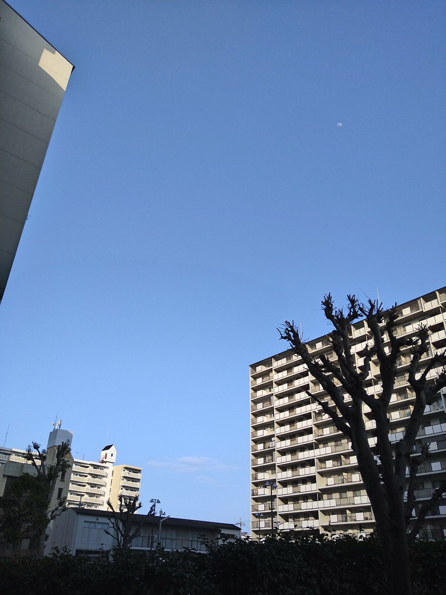 守山ベース tweet media