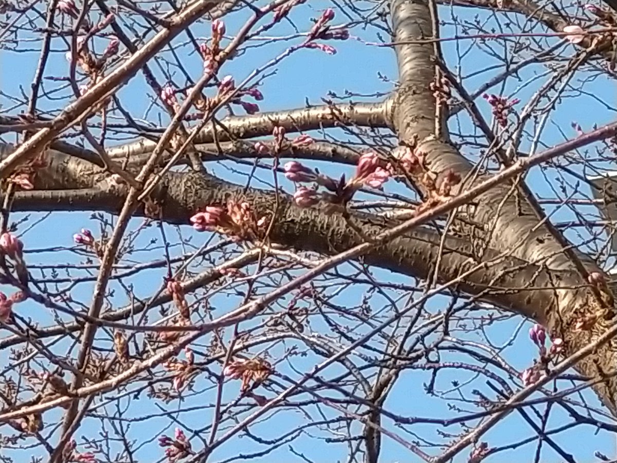 守山ベース tweet media