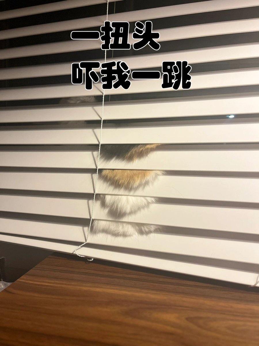 BERRADA Kamal tweet media