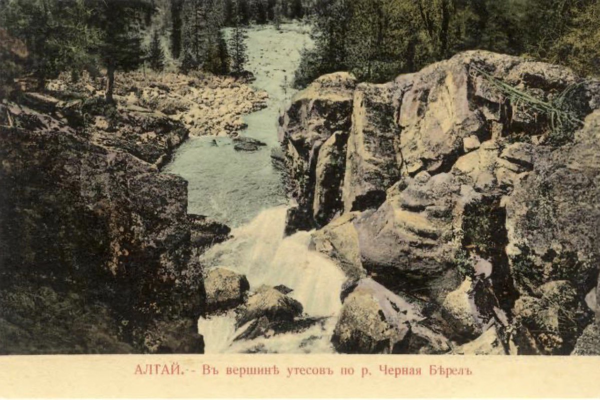 Serhan Kaya tweet media