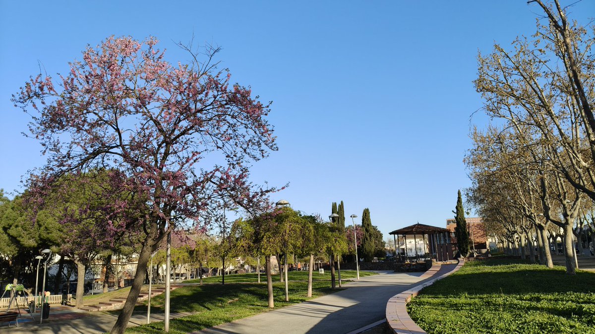 Joan Ramon Mercè tweet media