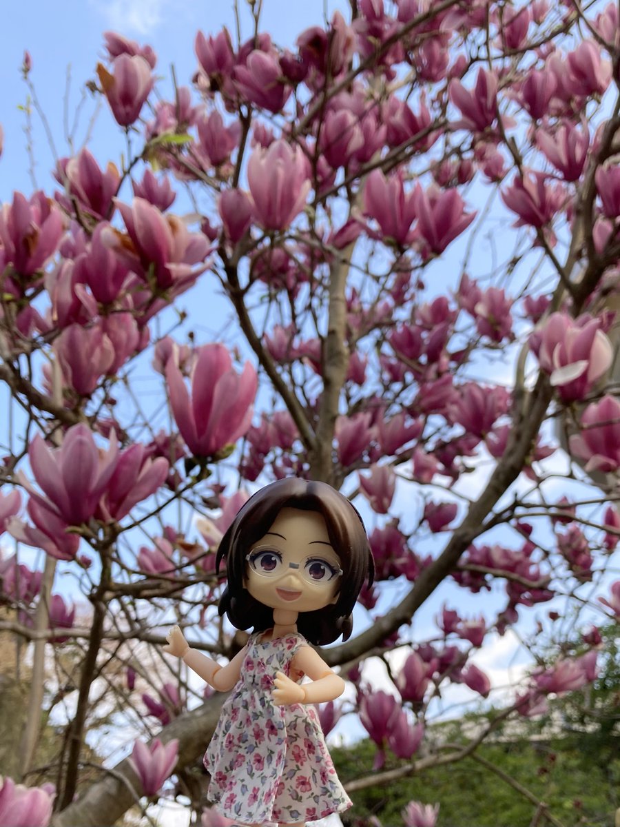 とも はの tweet media