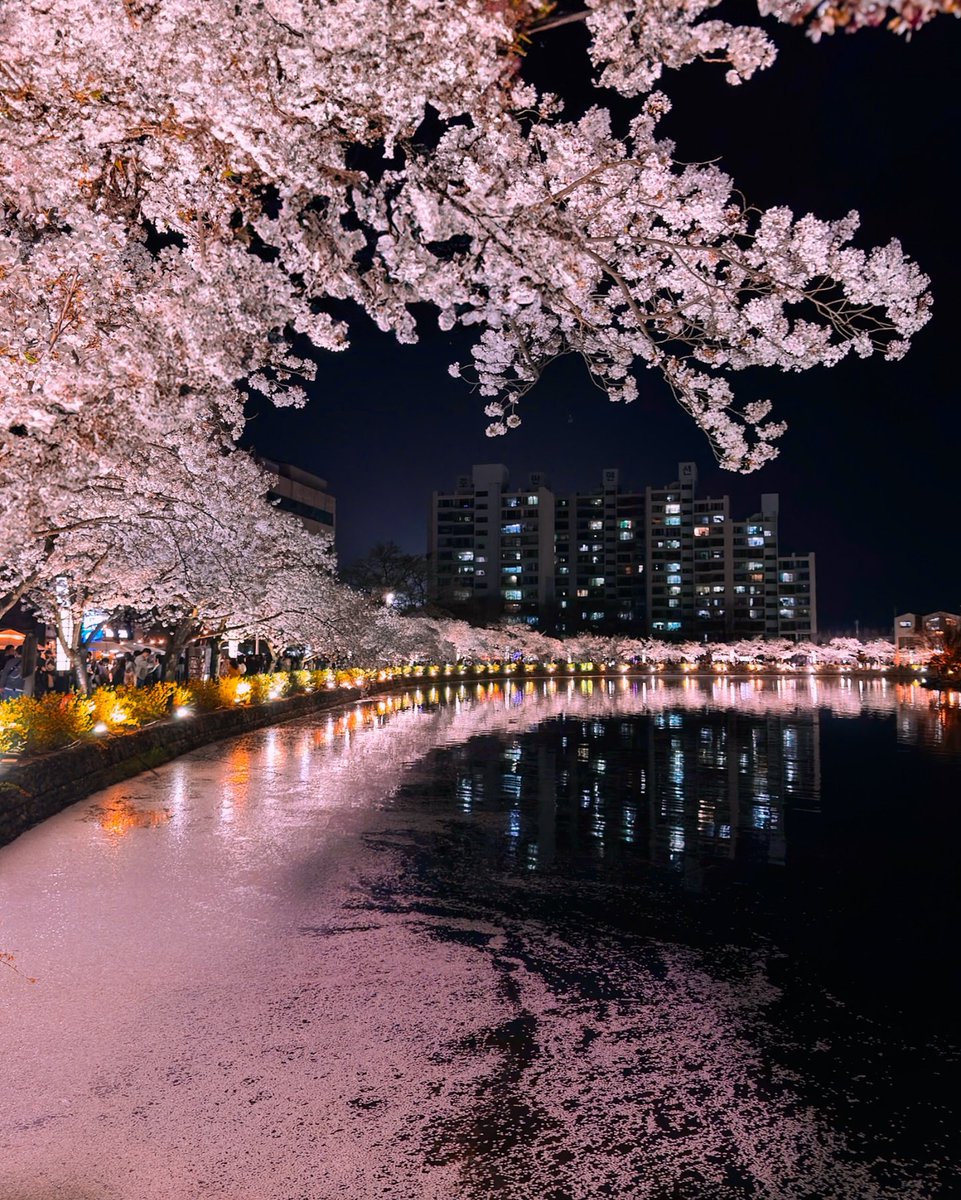 Haru-삼촌 tweet media