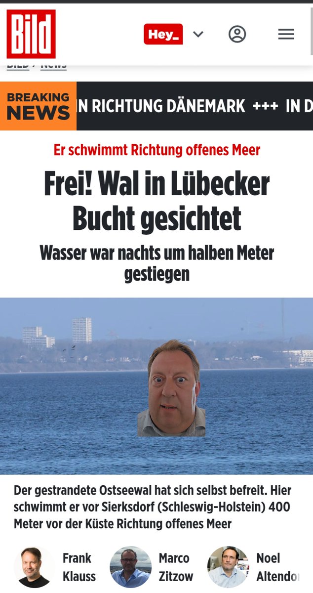 East Clintwood 🇩🇪🇪🇺 tweet media