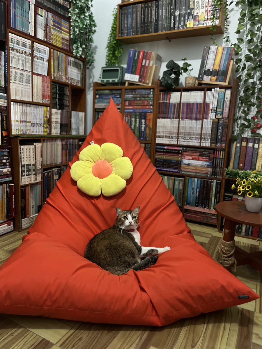 Ciyeng 🌻 tweet media