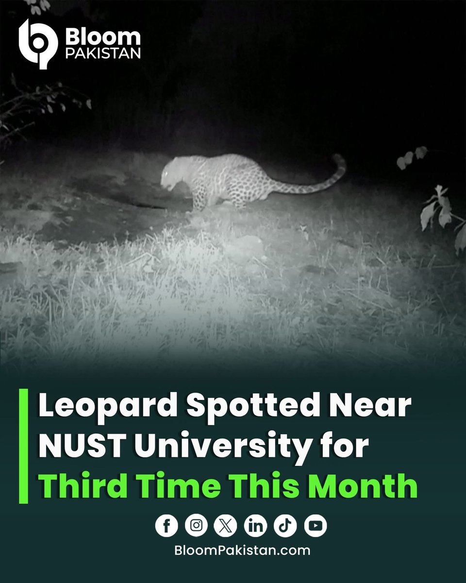 Sapovnela tweet media