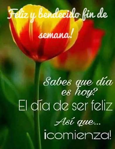 Profesora2.0😍🇨🇱🎼🌈👻 tweet media