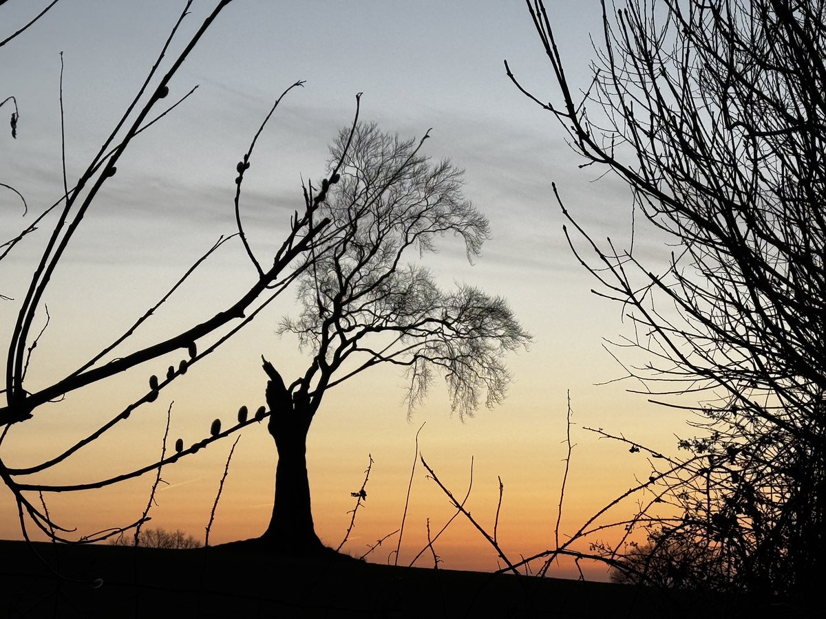 Katerina Waldersee tweet media