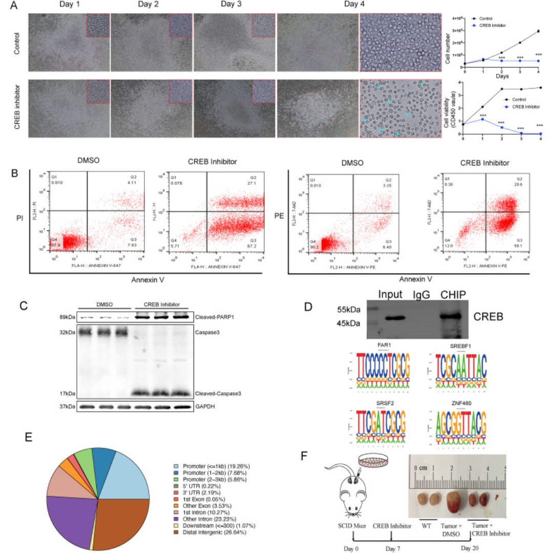 Genes & Diseases Journal tweet media